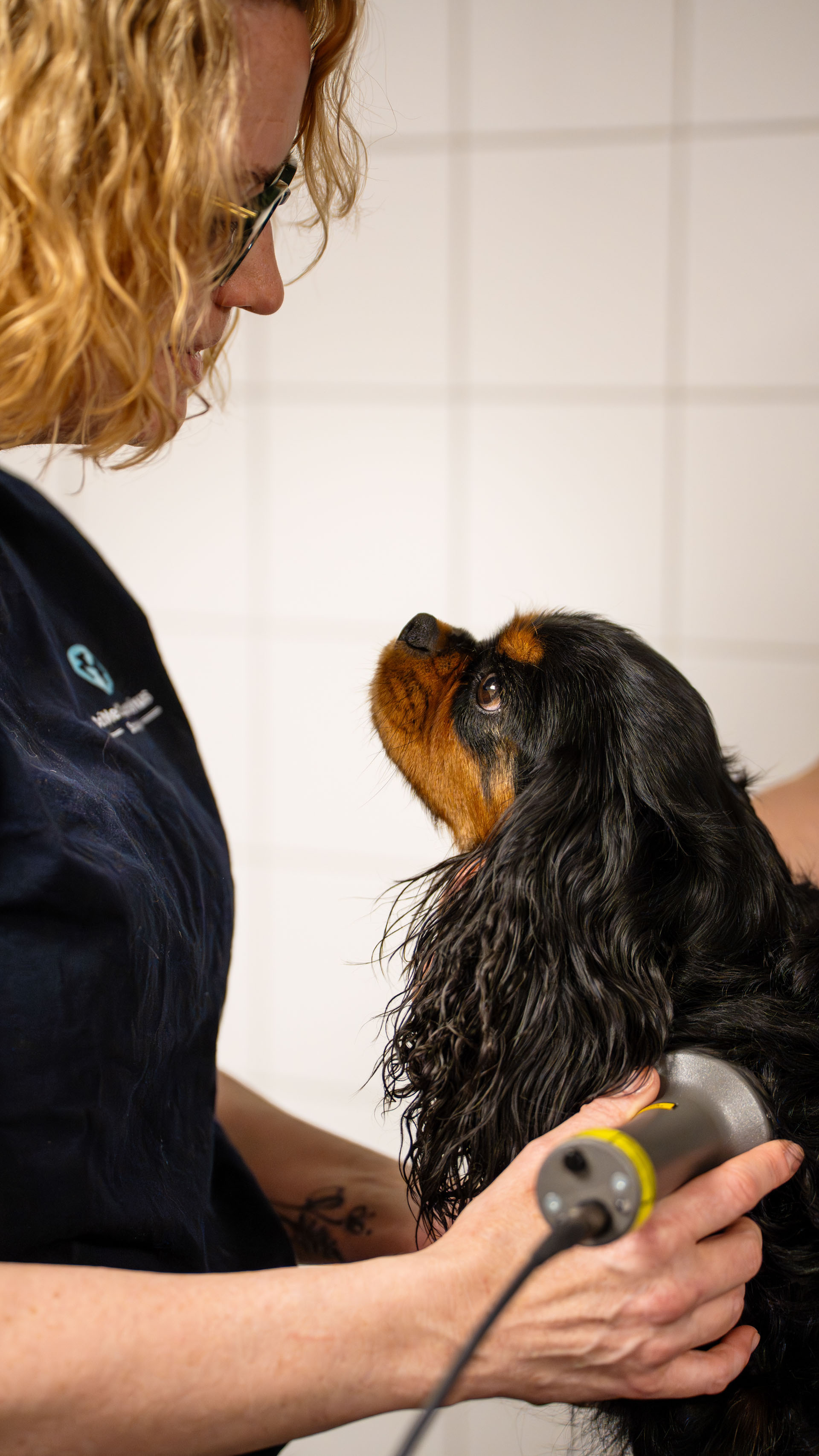 Rehabilitering med laserbehandling