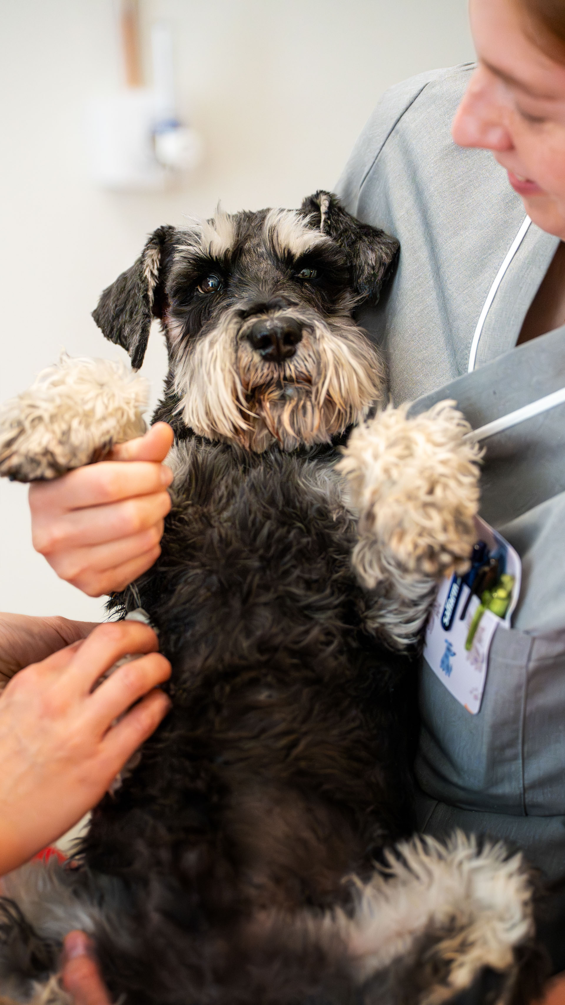 Djurvårdare med en hund i famnen